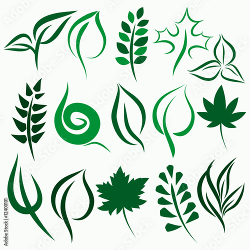 Set of various leaves