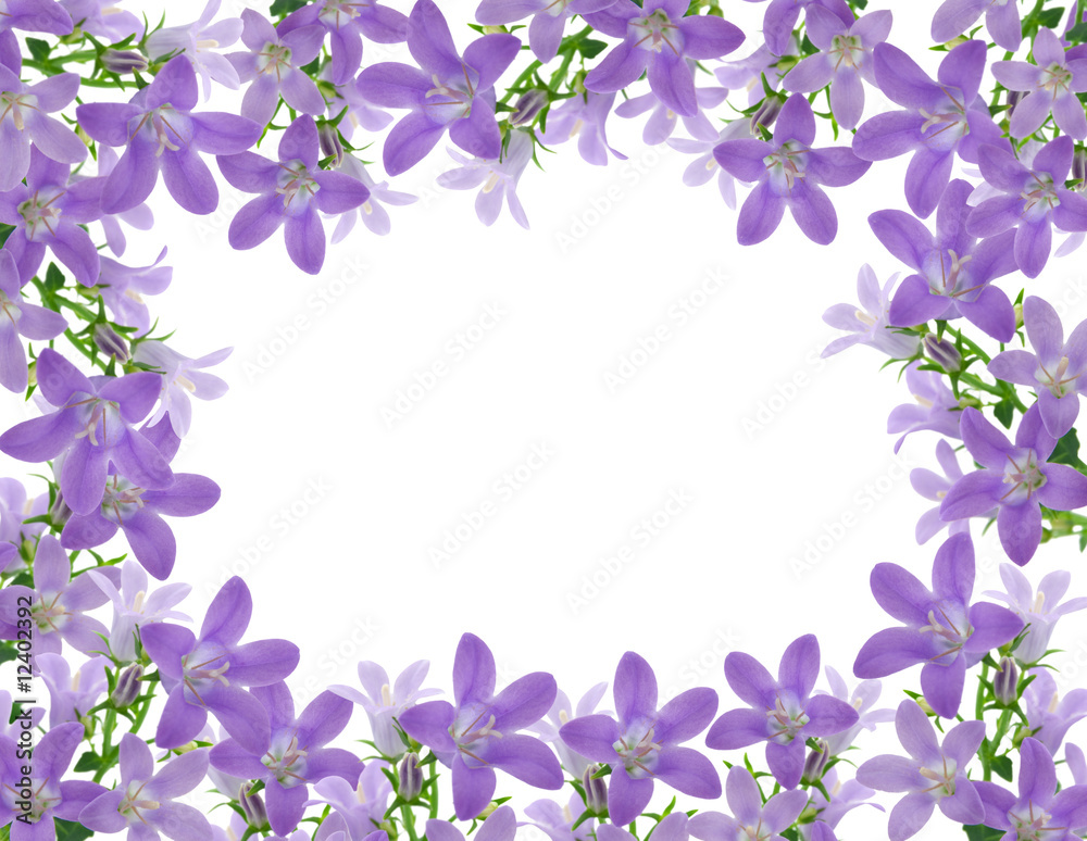 Flowers frame Flowers frame