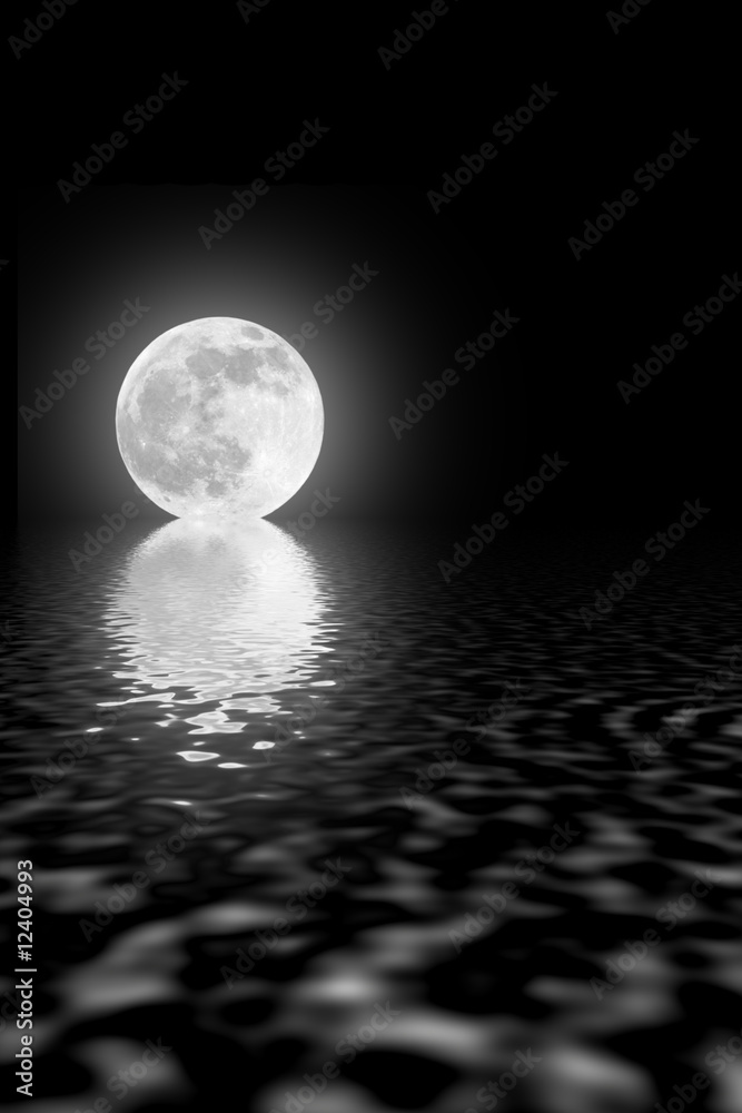 Obraz premium Moon Beauty