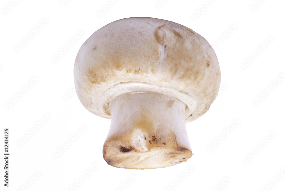 Fototapeta premium Champignon mushroom macro isolated on white background.