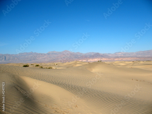 Sand dunes in Death Valley  California