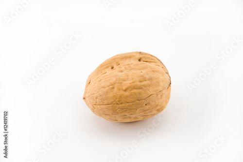 walnut in the shell, on a white background