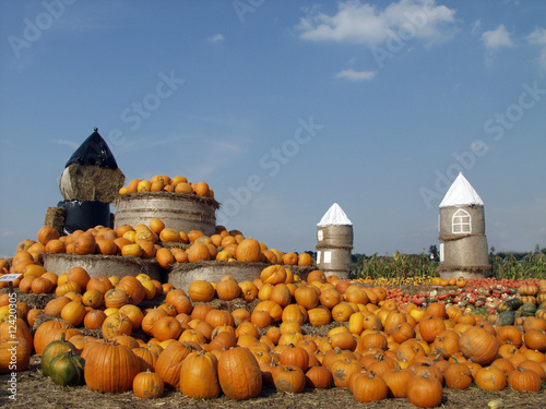 Kürbis