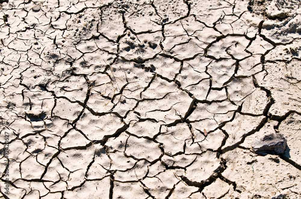 Dry soil texture Dry soil texture