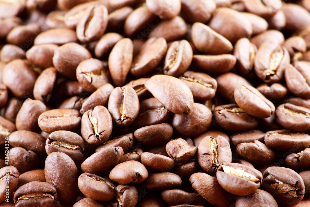 Fototapeta premium coffee-bean