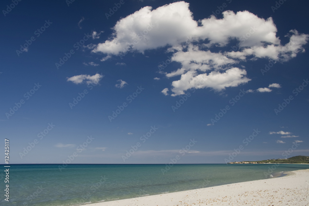 tropical beach with a cloudy blue sky