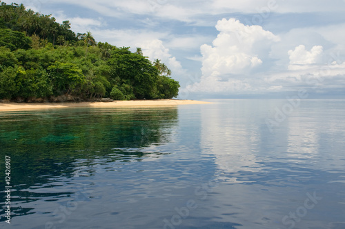 tropical island - sea, sky and palm trees