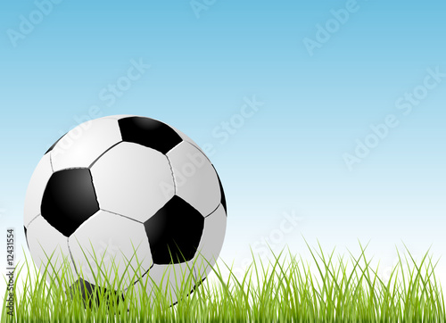 soccer ball and grass vector