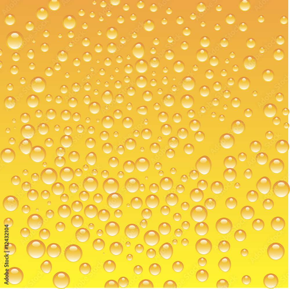 bubbles in a glass of beer bubbles in a glass of beer