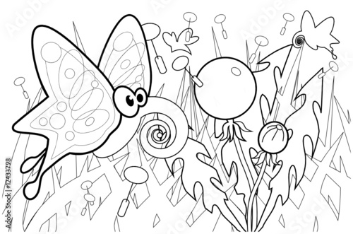 Butterfly and dandellion