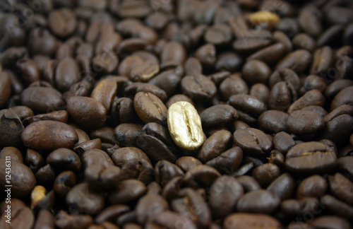 Golden Coffee bean