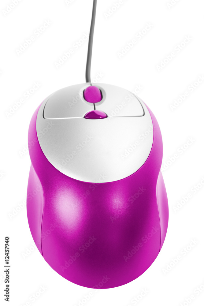 computer mouse