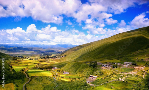 Valley of Flower in btibet