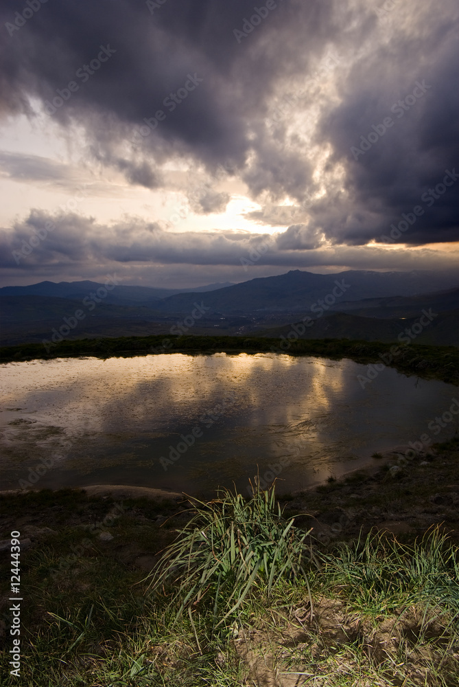 Fototapeta premium bush and mirror of water at sunset