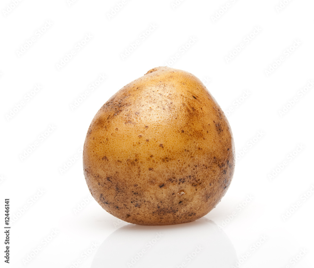 Fototapeta premium Potato