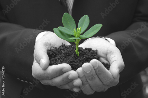Business growth