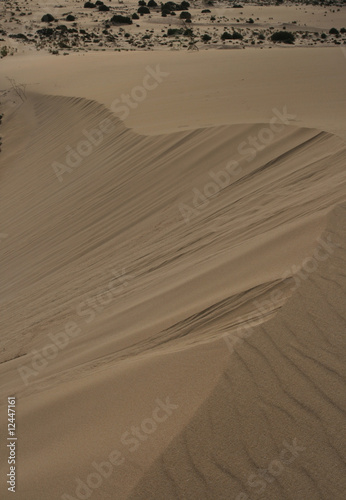 progession du désert au sommet de la dune