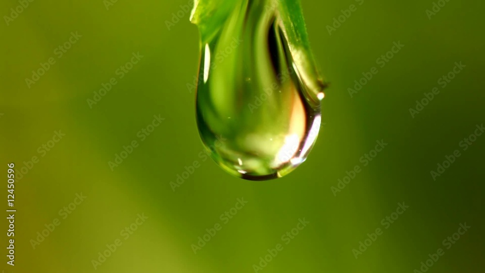 summer water drops