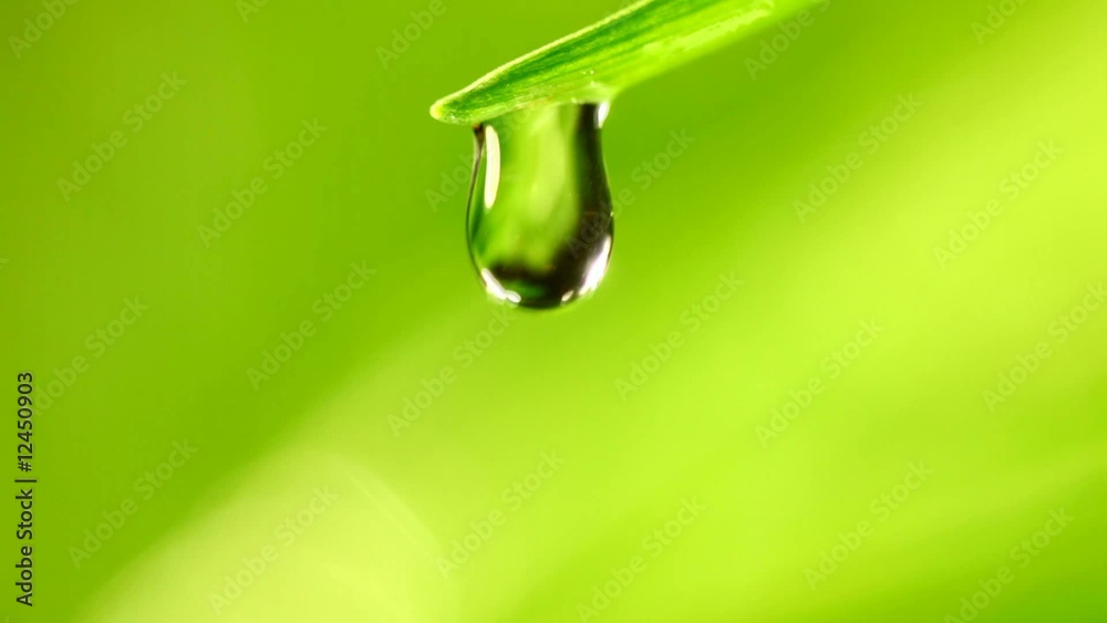 waterdrop