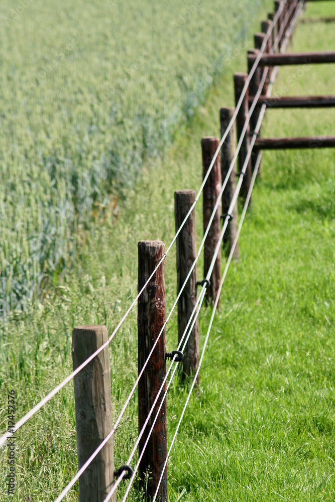 zaun und weide Stock-Foto | Adobe Stock