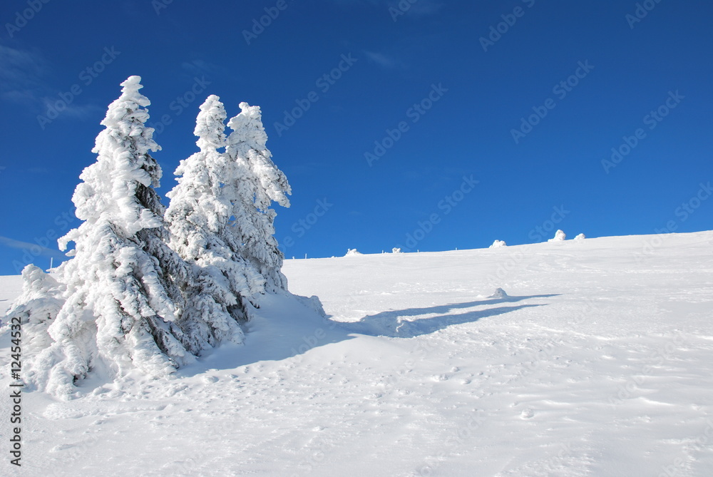 snowy winter mountains
