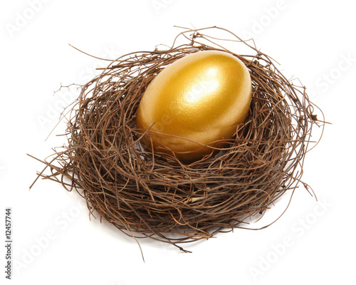 Gold egg