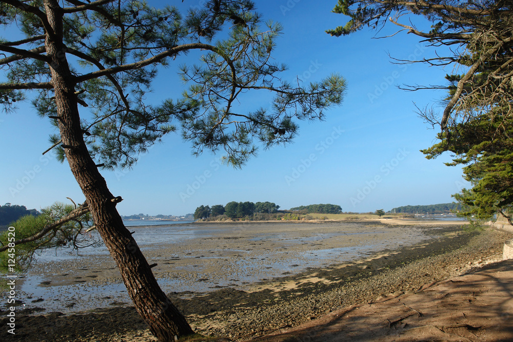 sentier des 7  iles dans le golfe du morbihan