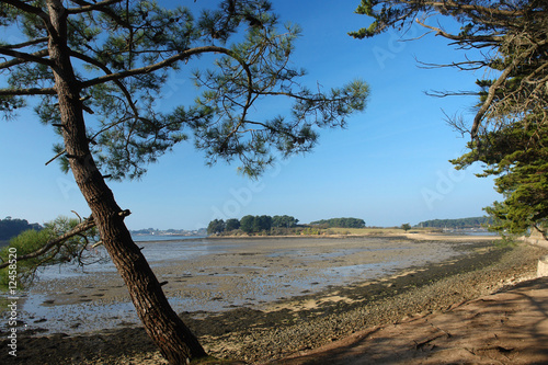 sentier des 7 iles dans le golfe du morbihan