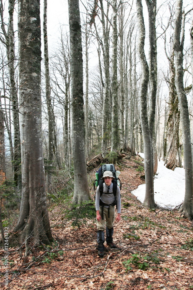 Hike in forest