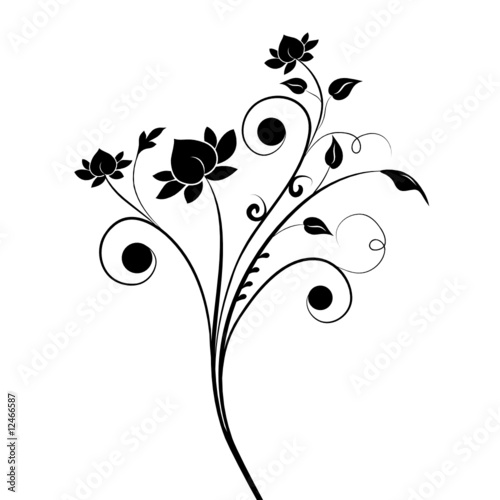 flora 01