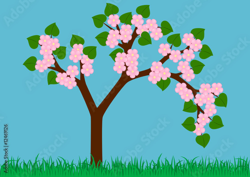 spring blooming tree