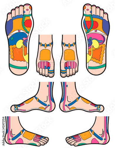 Pied Reflexologie 2