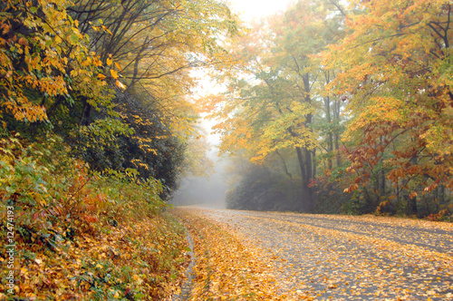 Autumn and Blue Ridge Parkway