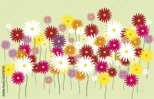 massif de fleur