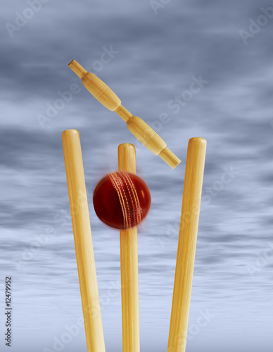 Cricket