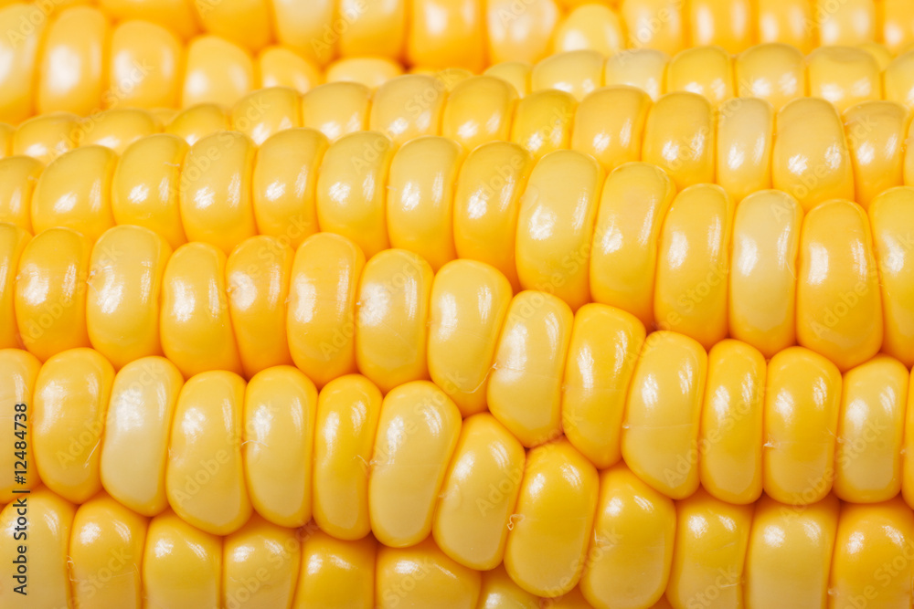 micro shot:details of corn micro shot:details of corn