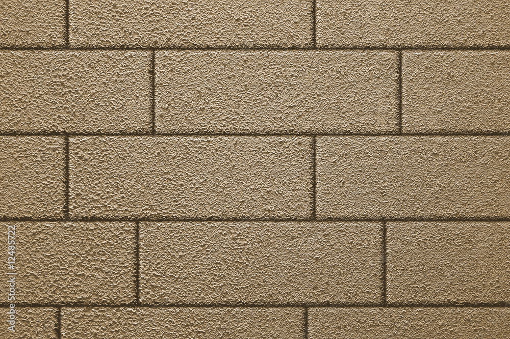 Fototapeta premium Bricks texture