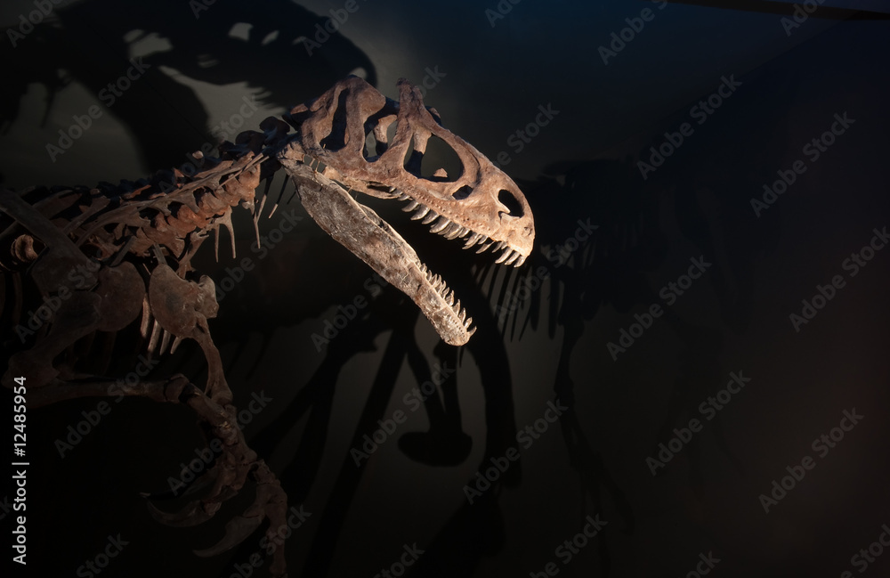 Naklejka premium Szkielet dinozaura z przerażającymi cieniami