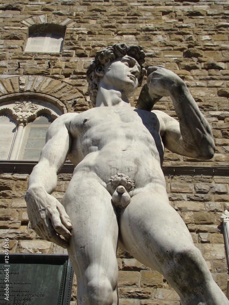 Obraz premium posąg Dawida we Florencji