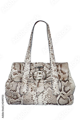 Bag from a snakeskin