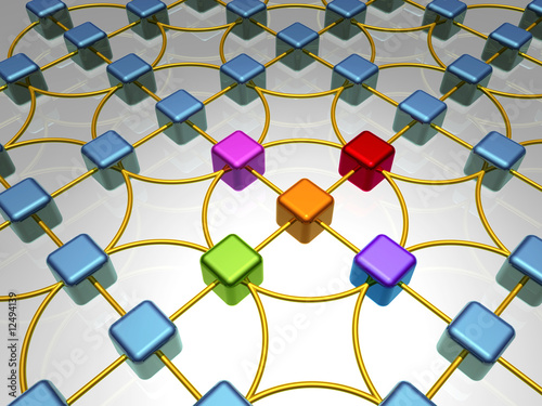 Network Overview