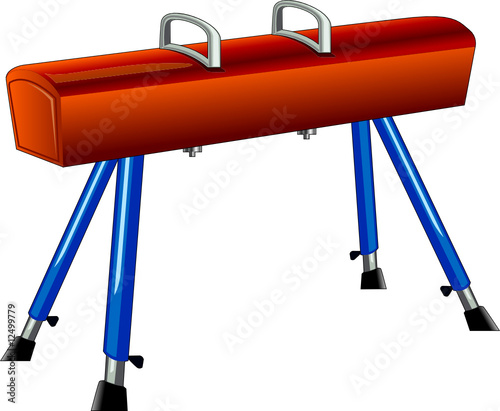 Pommel horse