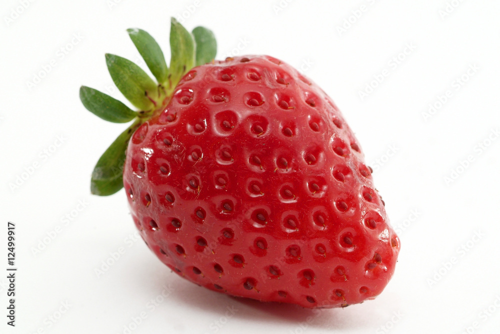 fragola fragola