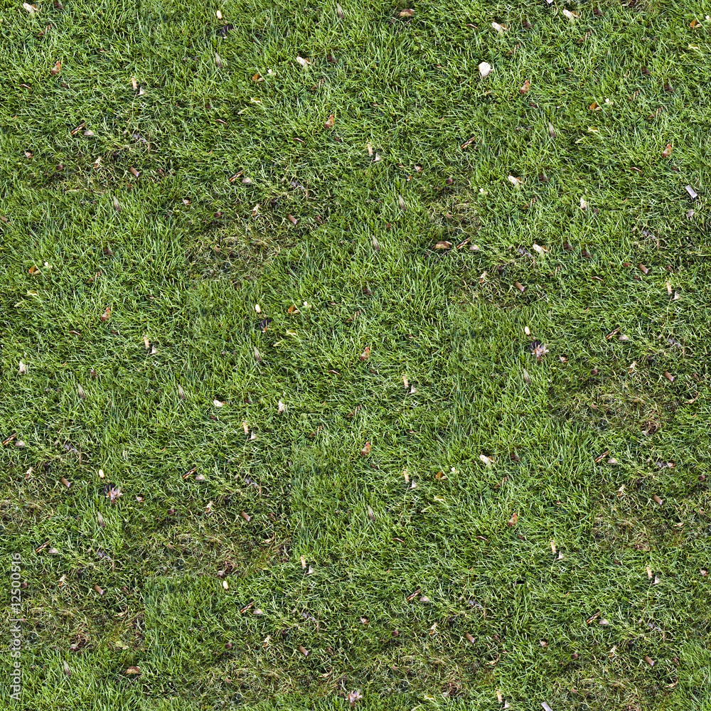 grass texture Stock Photo | Adobe Stock