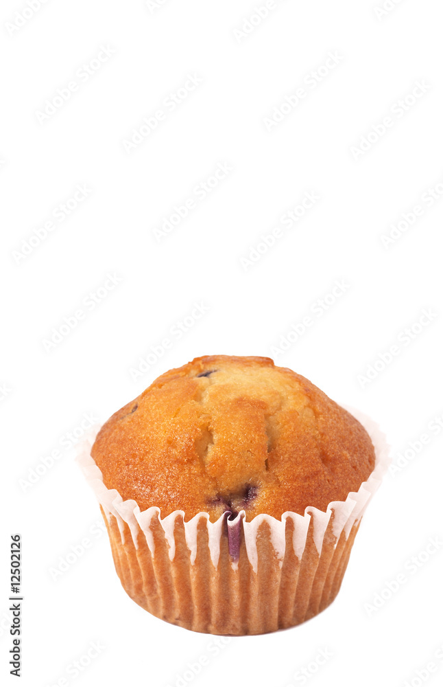 Blueberry muffin on white Blueberry muffin on white