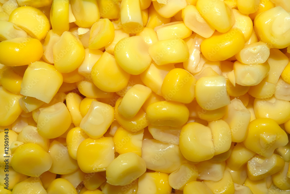 yellow sweetcorn texture yellow sweetcorn texture