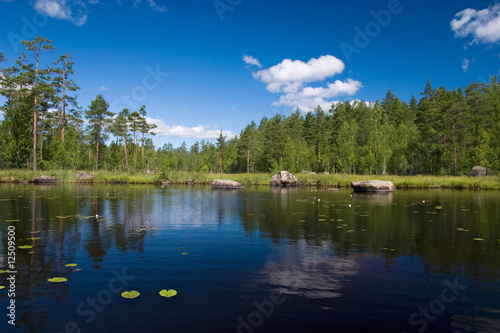 Summer forest lake reflections