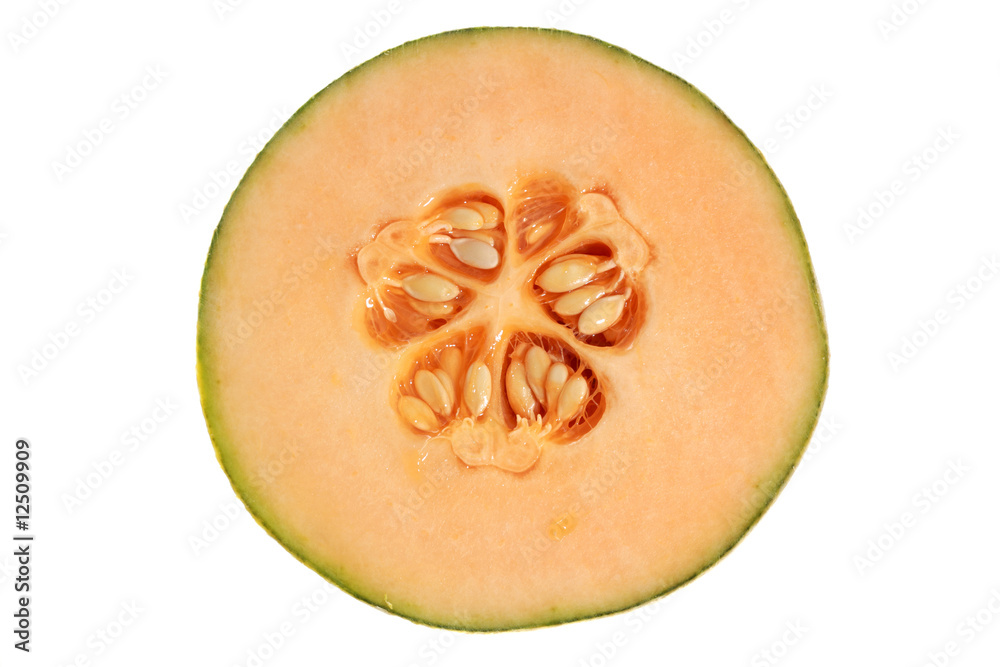 cantaloupe cantaloupe