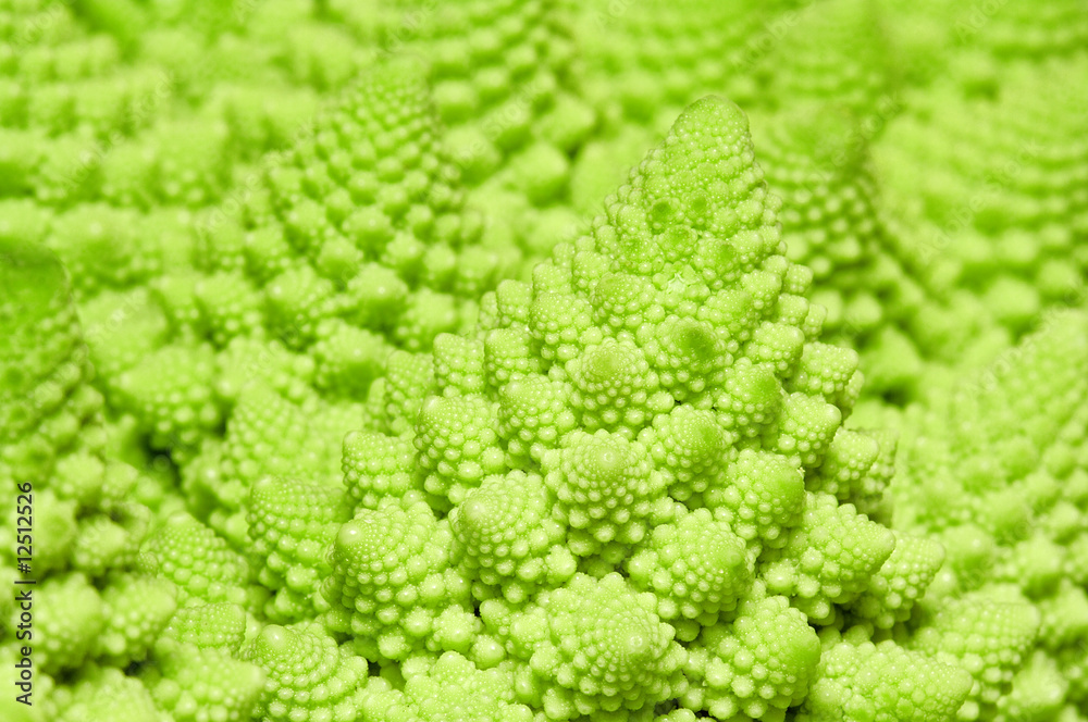 cabbage romanesco background cabbage romanesco background