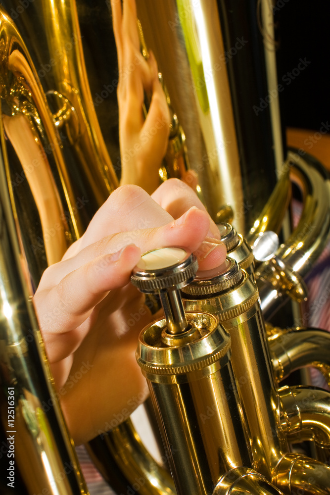 Obraz premium euphonium being played